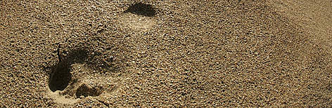 China for a Global Shift
© Chris Martin Bahr / WWF rel=