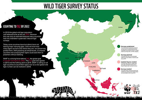 Tigers still roam wild in these 13 tiger-range countries