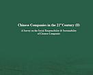 Chinese Companies in the 21st Century (II)