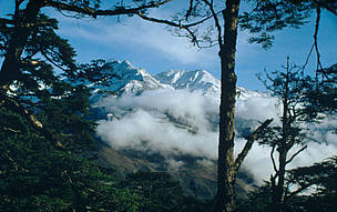  / &copy;: WWF-China